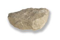 M 01976
<br/>
<br/>
<em></em>